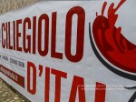 ciliegiolo-d-italia