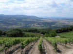orcia-wine-festival