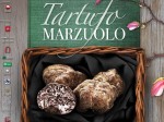 volterra-marzuolo