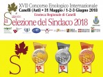 selezione-del-sindaco-2018