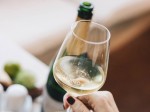 signorvino