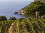 consorzio-vini-maremma-toscana-argentario