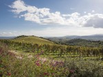 sequerciani-toscana