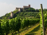 cantina-soave