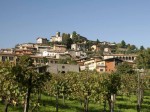 azienda-agricola-lantieri