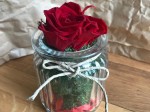 rosa-stabilizzata-sanvalentino-sostenibile