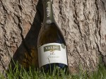 valdo-bio-prosecco