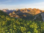 val-di-non-monte-peller-botton-d-oro-foto-alessandro-gruzza