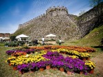 1-fiori-nella-rocca_lonato-del-garda