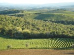 chianti-classico-landscape