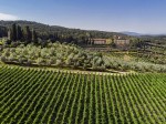 torre-a-cona-vista-panoramica1