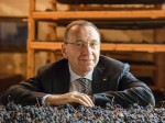 daniele-accordini-dg_enologo-cantina-valpolicella-negrar