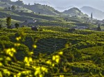 valdobbiadene-territorio