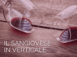 vino-e-terroir-sangiovese