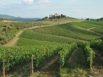 chianti-classico-landscape