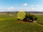 querciarossa-maremma