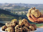 tartufo-volterra