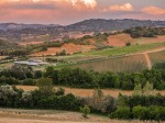 paternopoli-cantina-al-tramonto