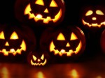 zucche-halloween