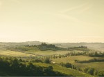 chianti_classico-landscape