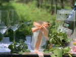 picnic