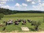 cantine-aperte