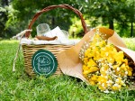 thats-panaro-picnic
