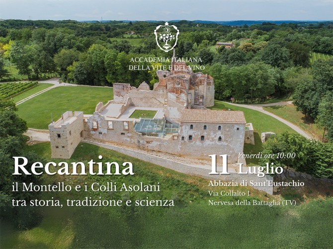 Locandina accademia vite e vino