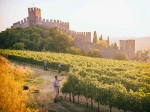 colline_castello_soave