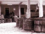 tini-con-luva-della-vendemmia-nel-cortile-dellagraria-alla-fine-degli-anni-cinquanta-foto-biatel-archivio-dellassociazione-agraria-di-riva-garda