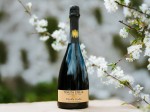 tenuta-stella_ribolla-gialla-pas-dose%cc%81-metodo-classico_mood